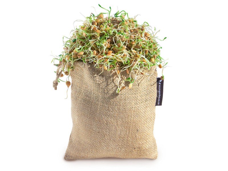 Growing Media Reusable Sprout Bag was listed for R99.00 on 11 Jun at